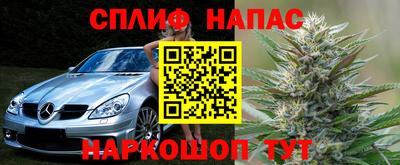 молекула духа Бердск