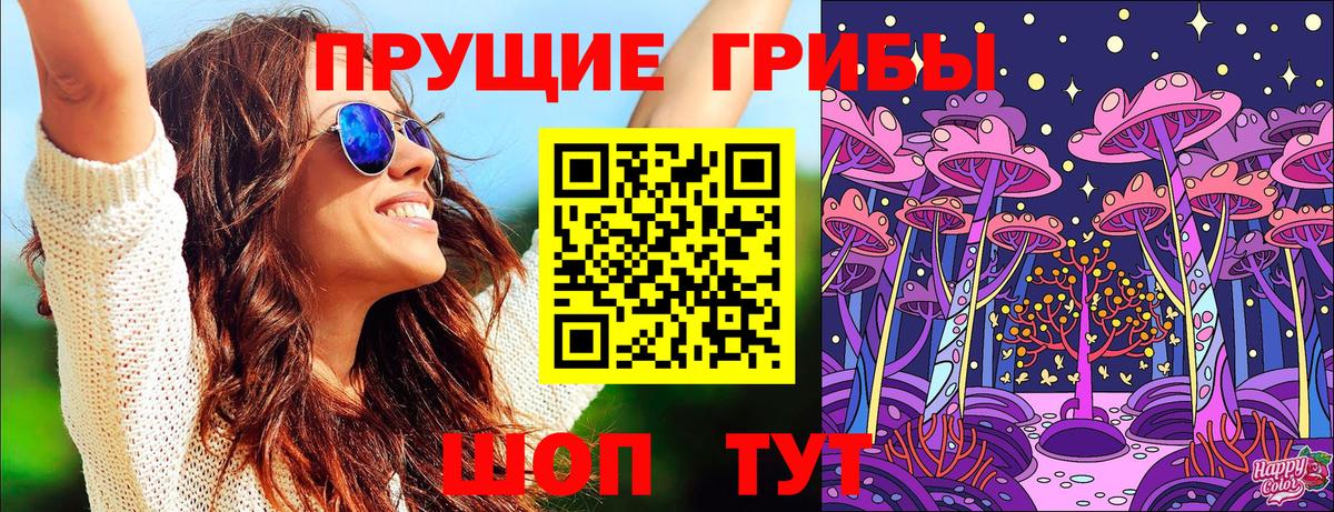 Псилоцибиновые грибы Psilocybe Дзержинский